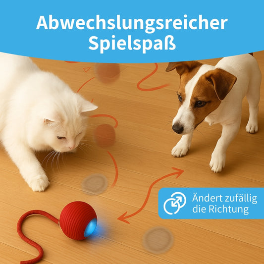 Flitzkugel - Interaktiver Spielball