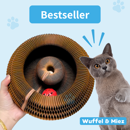 Katzino - Magisches Kratzbrett