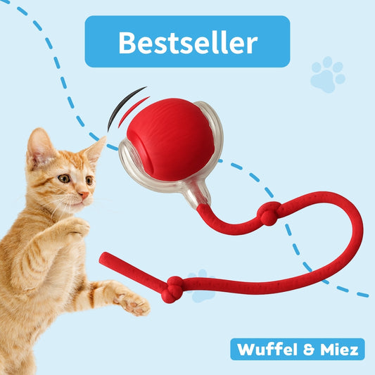 Flitzkugel - Interaktiver Spielball