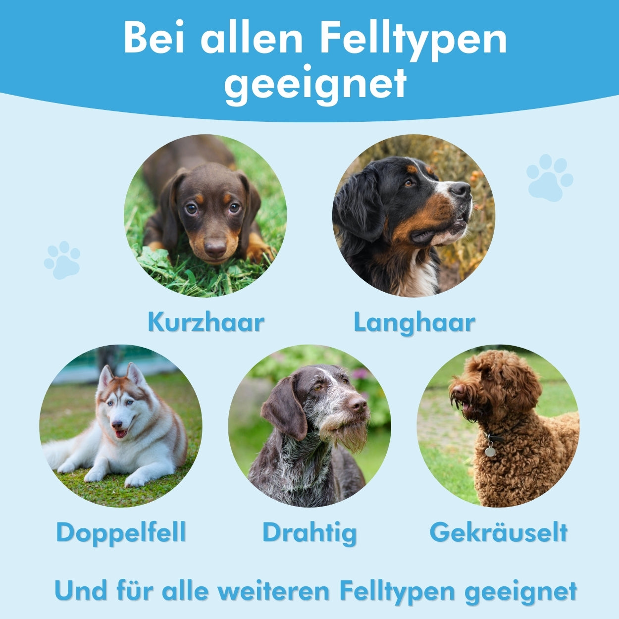Fellzauber Bürste
