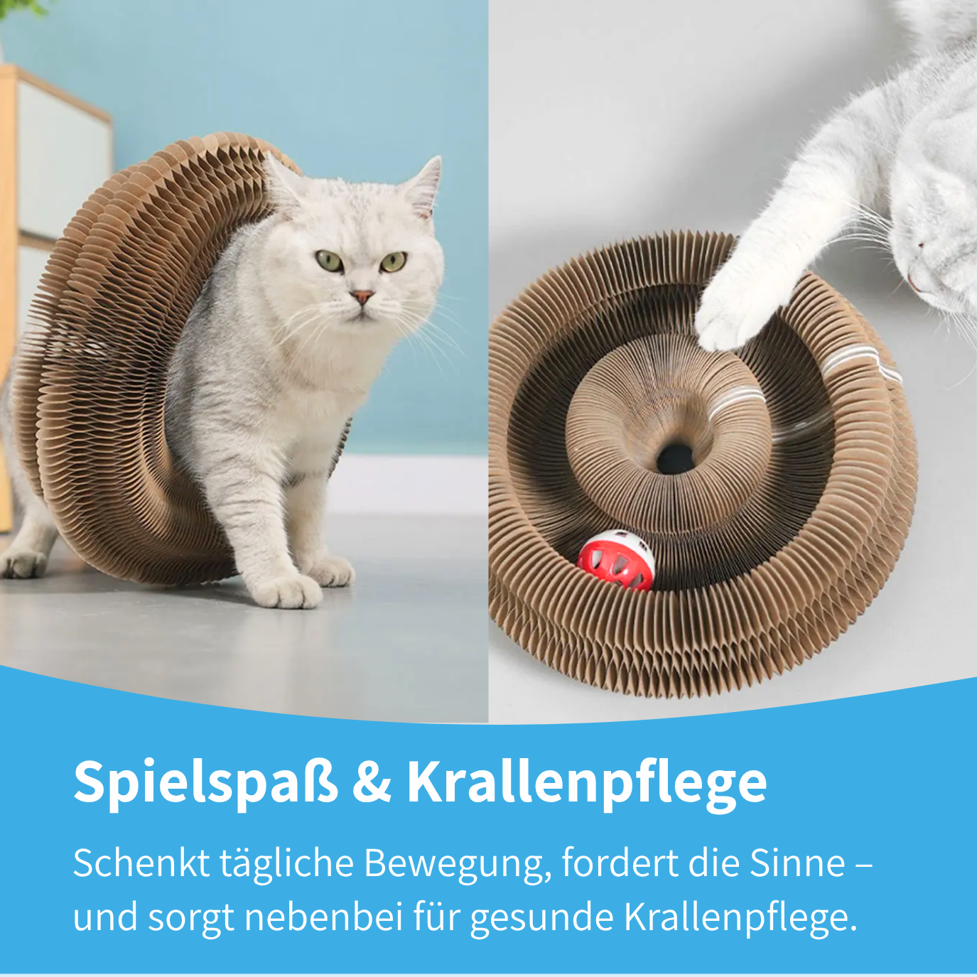 Katzino - Magisches Kratzbrett