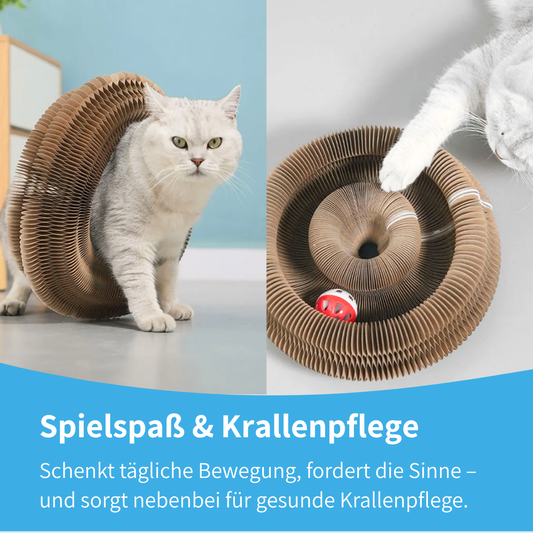 Katzino - Magisches Kratzbrett