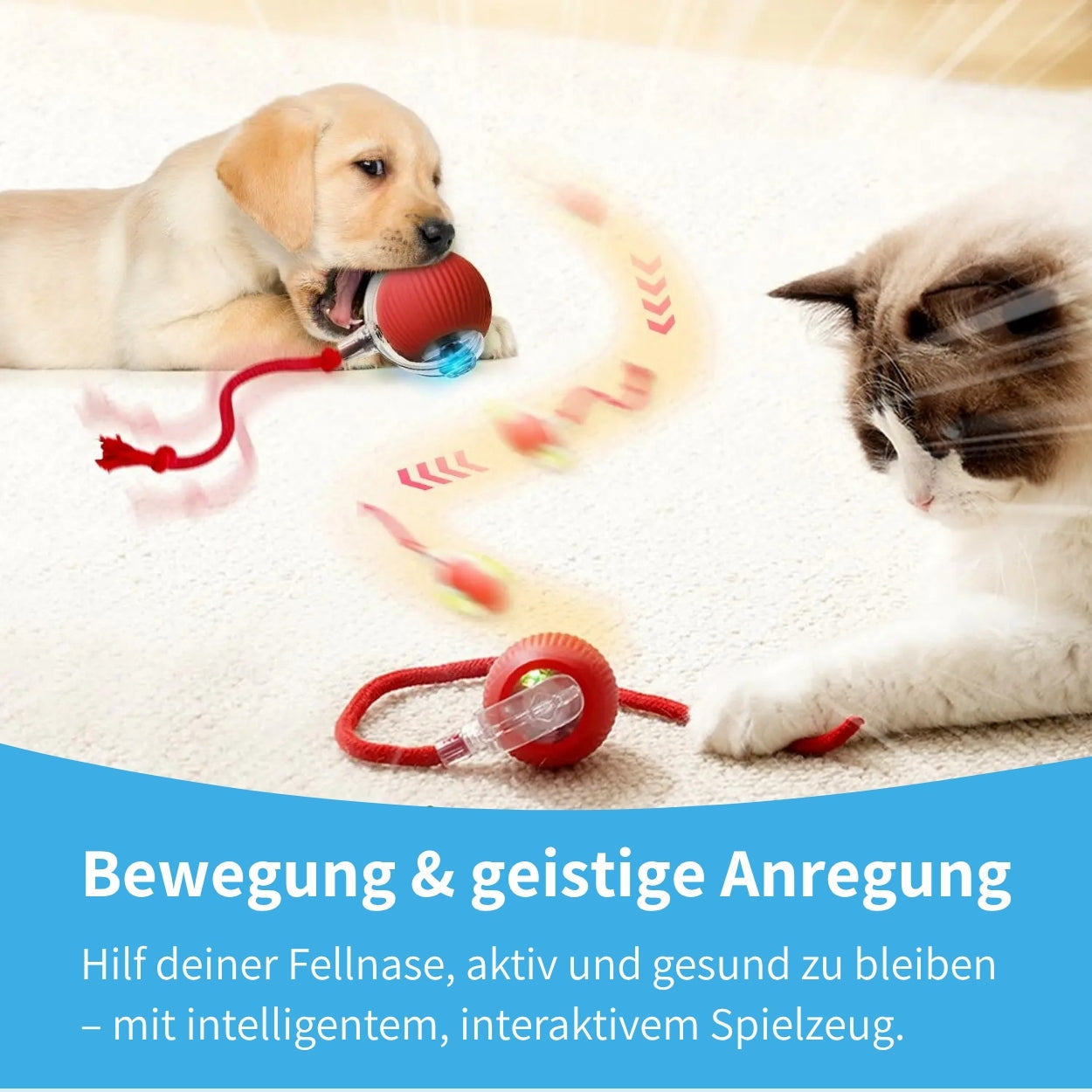 Flitzkugel - Interaktiver Spielball