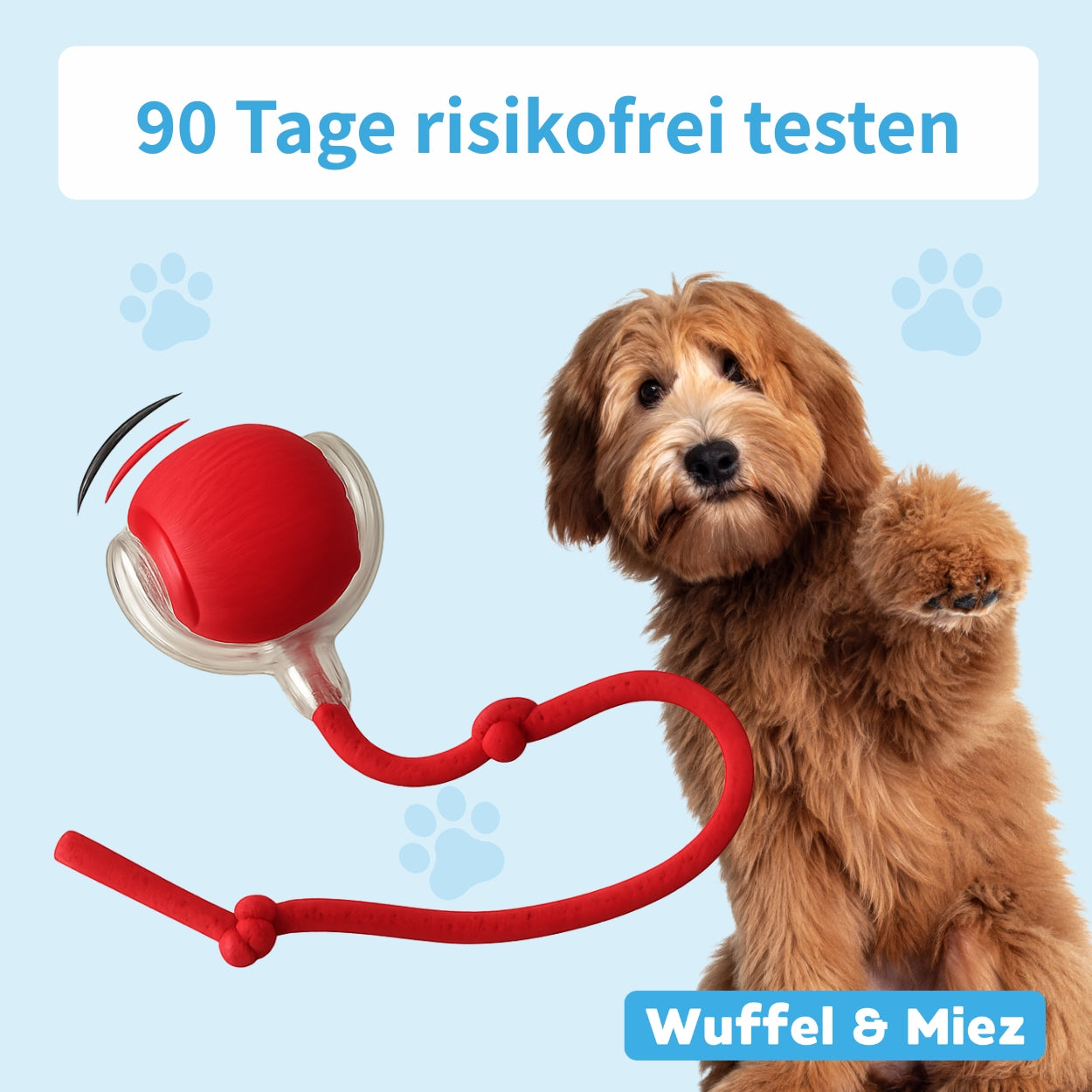 Flitzkugel - Interaktiver Spielball