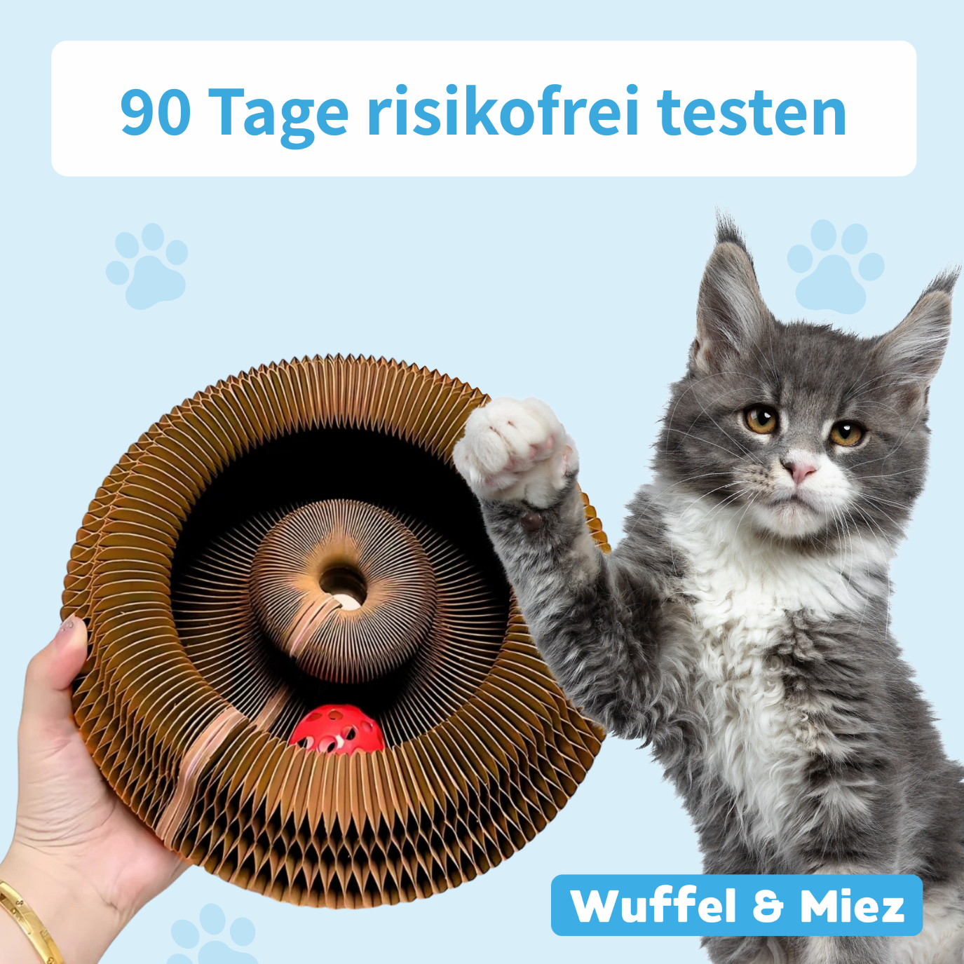 Katzino - Magisches Kratzbrett